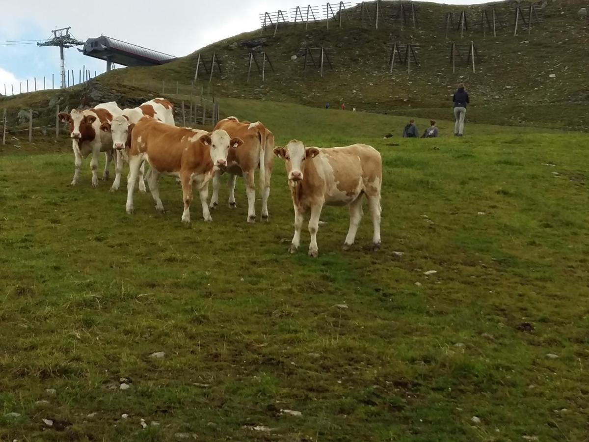 Ferienwohnungen Behamhof Neukirchen am Großvenediger Εξωτερικό φωτογραφία